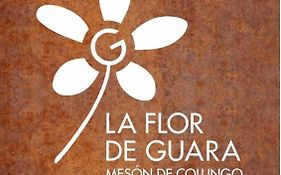 Mesón de Colungo